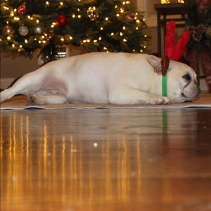 Meet your Posher, Jaime